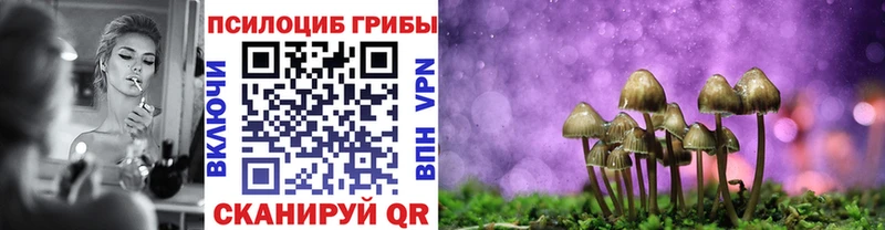 hydra ССЫЛКА  Биробиджан  Псилоцибиновые грибы прущие грибы 